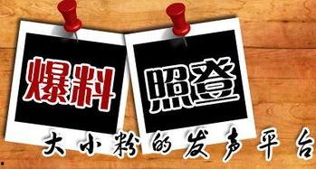 什么是新爆料新闻,揭开事件背后真相