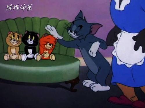 恶魔汤姆爆料视频大全在线观看,视频大全在线观看揭秘