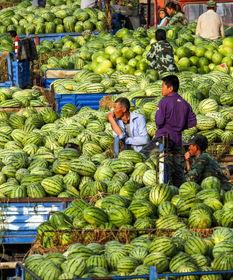 陇南网红吃瓜满床跑,揭秘网络红人的日常生活 第2张 陇南网红吃瓜满床跑,揭秘网络红人的日常生活 第2张
